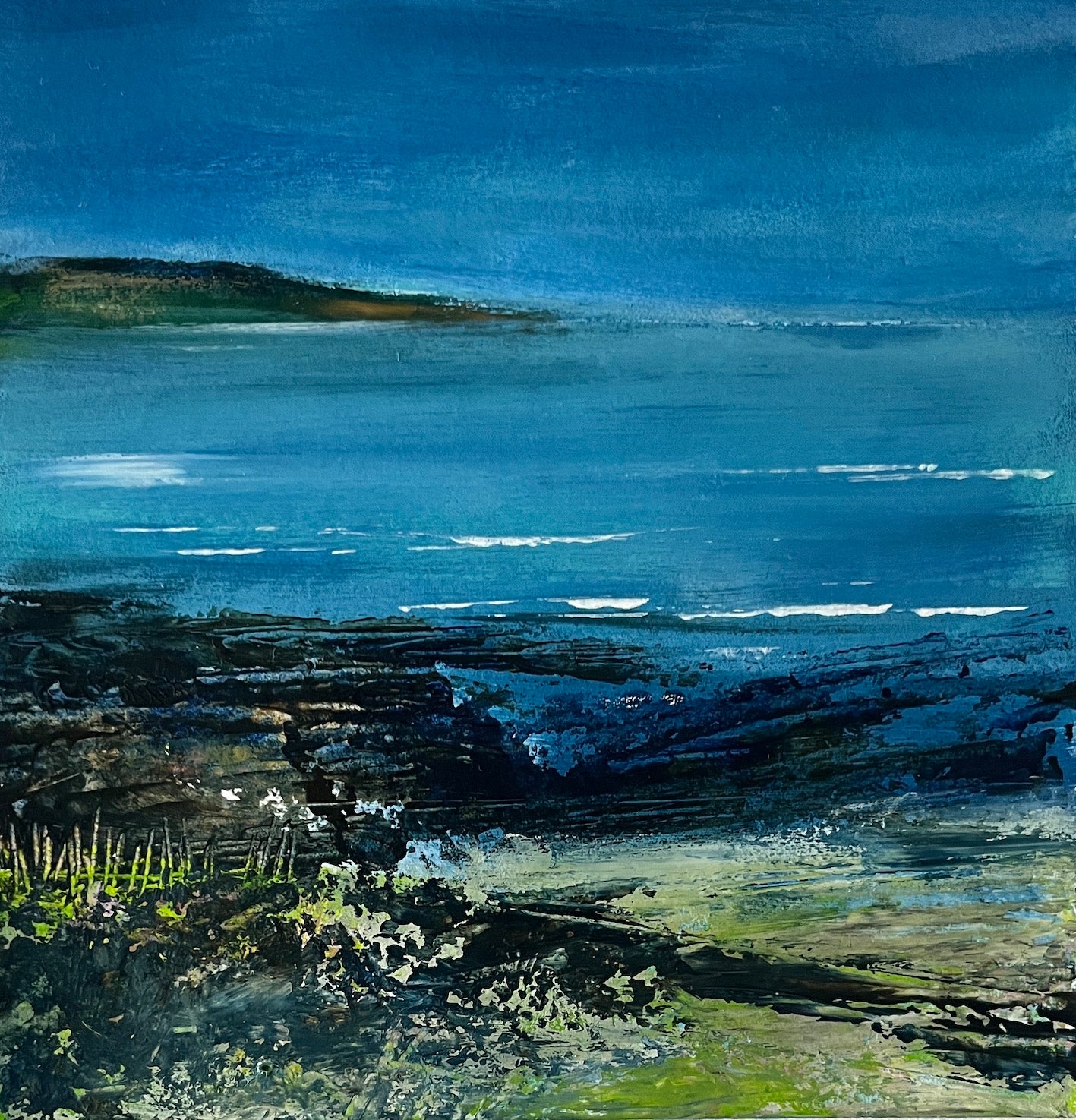 Grass and Rocks at Low Tide