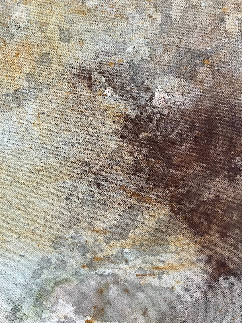 Along The Sea-Sands Damp And Brown