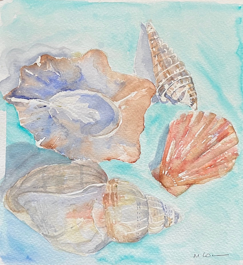 Seashells