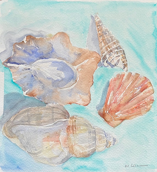 Seashells